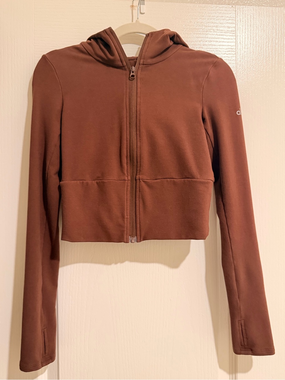 Alo hoodie